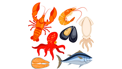 7 cartoon marine life vector material