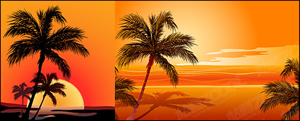 Coconut Vector affect the seaside sunset material