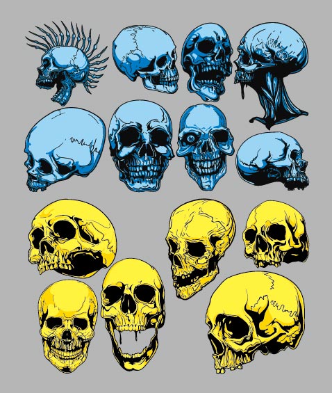 Skeleton head vector of material