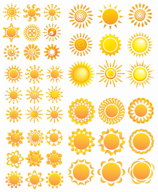 Variety of sunflowers patterns - Vector