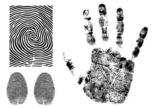 Fingerprint Vector -3