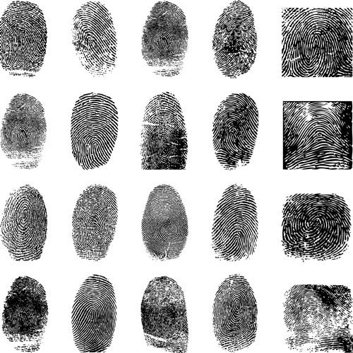 Fingerprint vector material -4