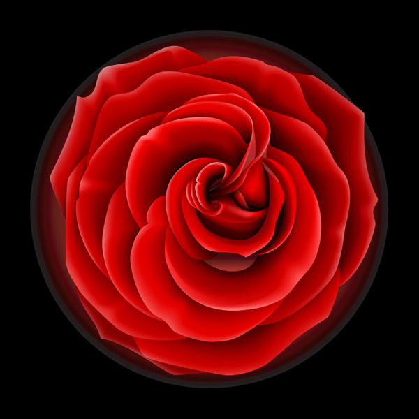 Roses vector material