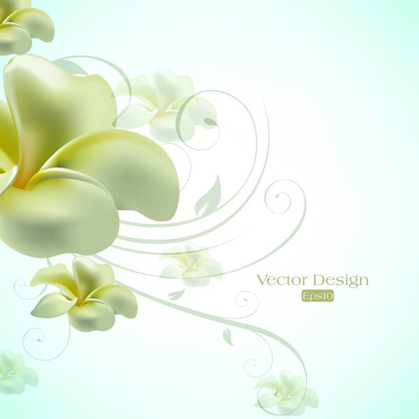 Text elegant lily design background vector material