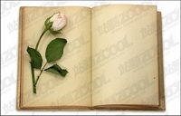 Rose and the fine picture books