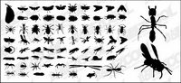 Vector silhouette of various insect material