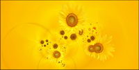 Sunflower picture background material-7