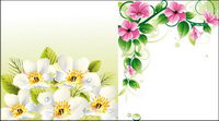 Vector flower borders \u0026amp; background		