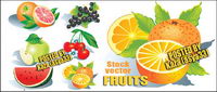 Vector Fruits			