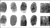 Fingerprint vector material -4