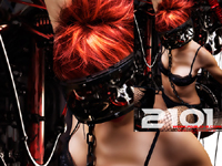 Visual appreciation of classical