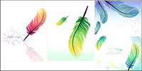 colorful feathers vector