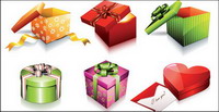 Holiday gift icon vector