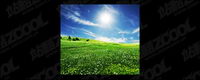 Grass sky picture material-2