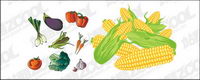 Vector material common fruits and vegetables