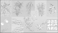 Vector line drawing of flowers -50(dandelion, lily)