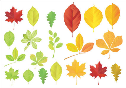 Leaves Vector			 