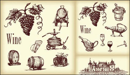 Vector line drawing wine