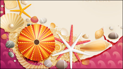 Shells and starfish material 01 - Vector