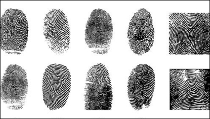 Fingerprint vector material -4