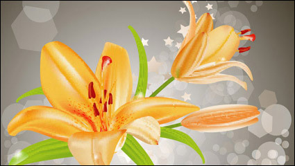 Yellow lilies vector -3