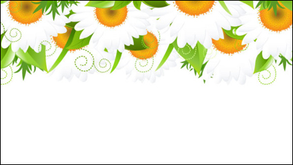 Flowers petals lace background 01 - vector material