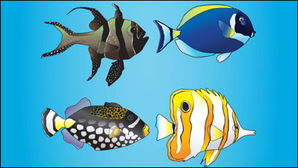 Cartoon marine fish - vector material