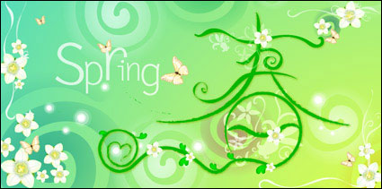 Spring material