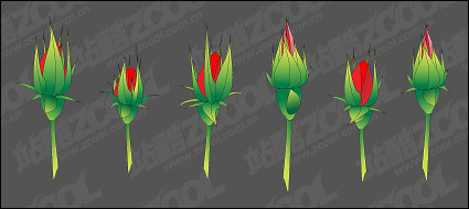 Rose Bud vector