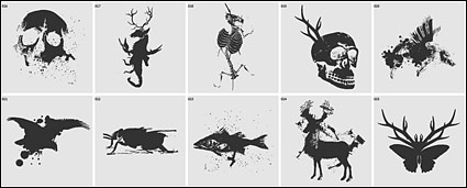 Skulls with a variety of animal fossils Vector